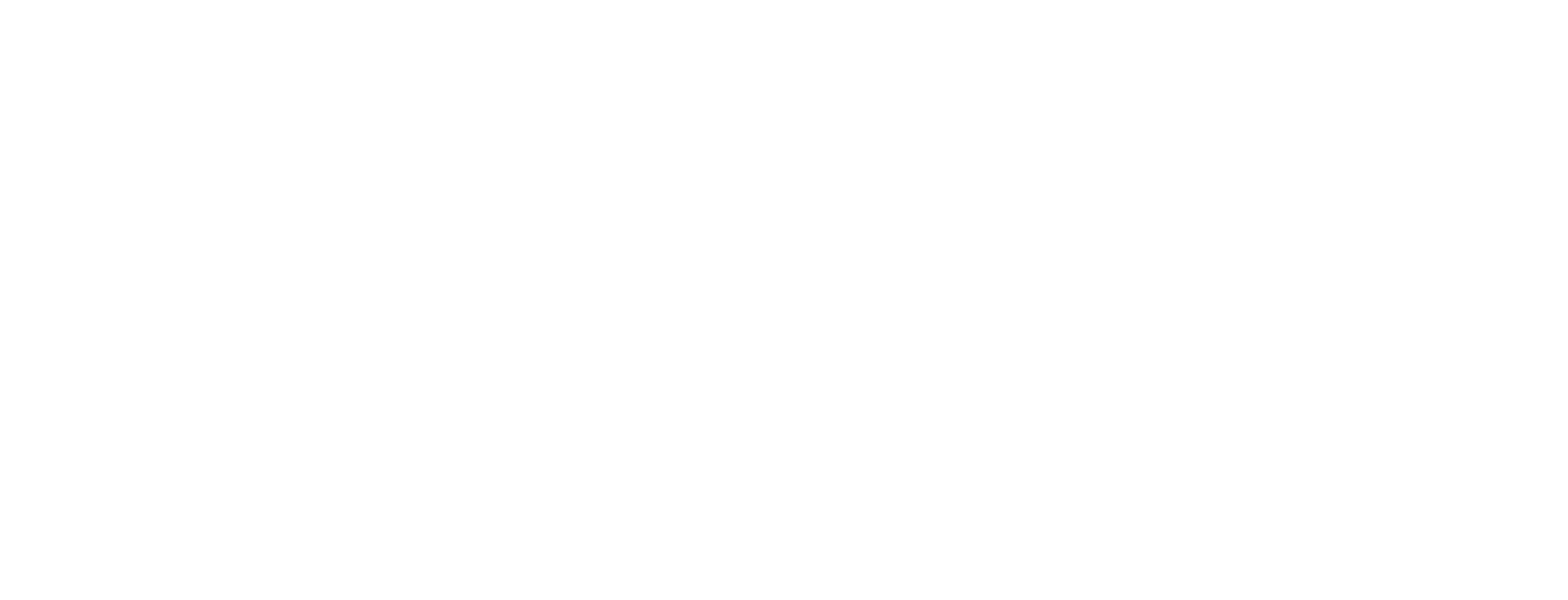 TINIC Logo
